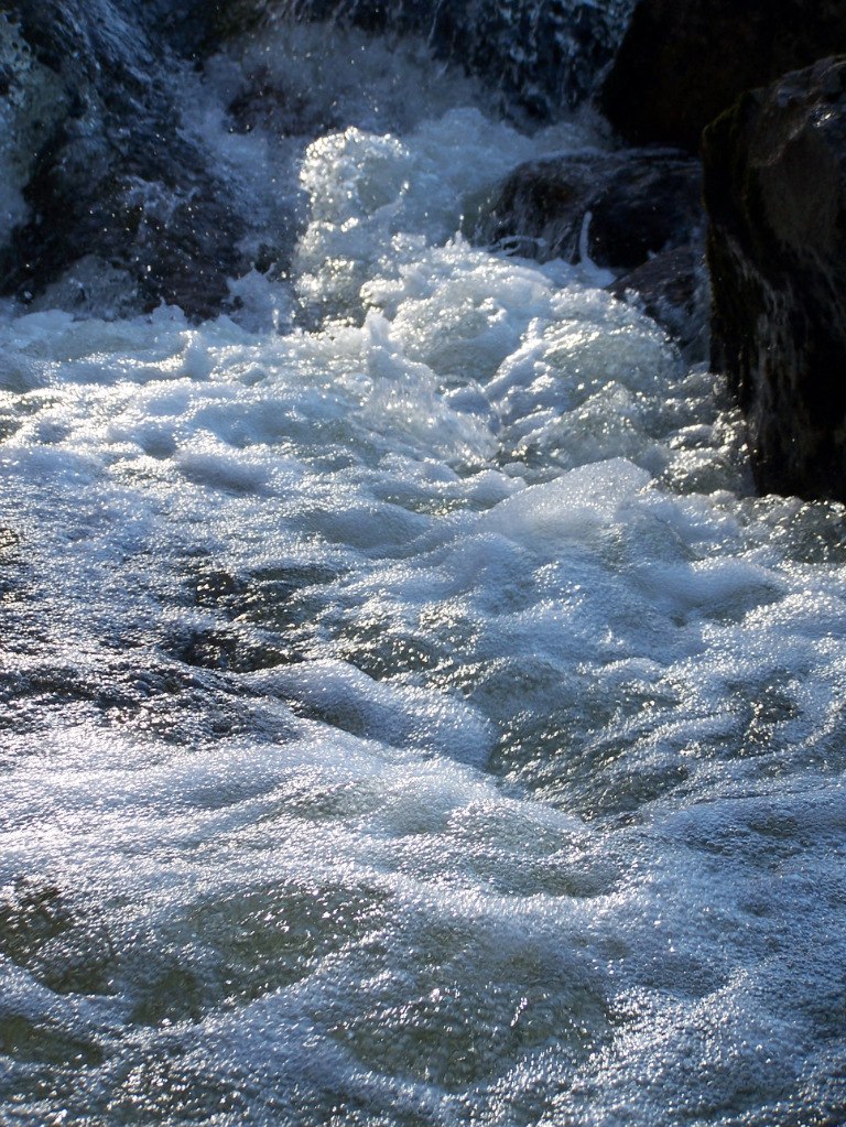 Павел Серкин | Кумора