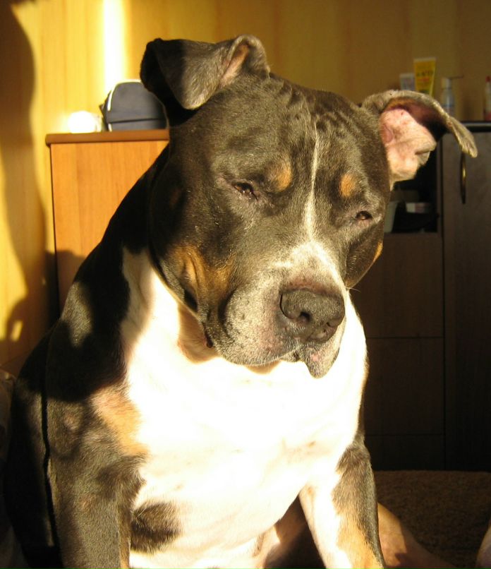 Роман Ивонин | Ижевск