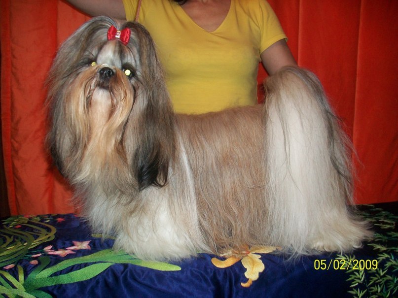 Надежда Литвинова | Якутск