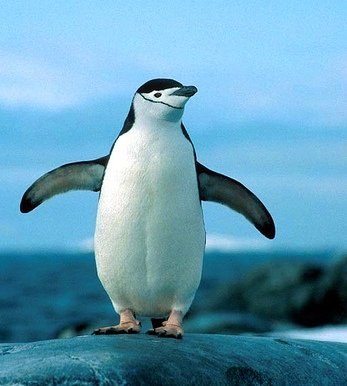 Артем Сорочук ТЁМА | Одесса