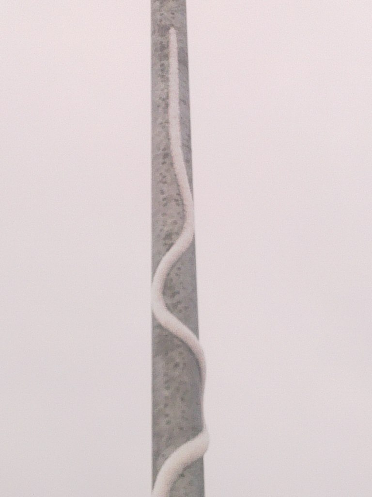 Руслан Алханов | Ухта