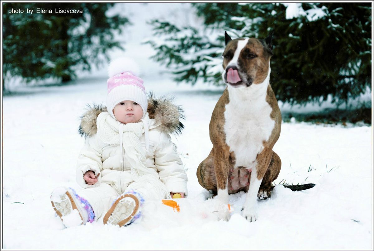 Елена Лисовцева | Химки
