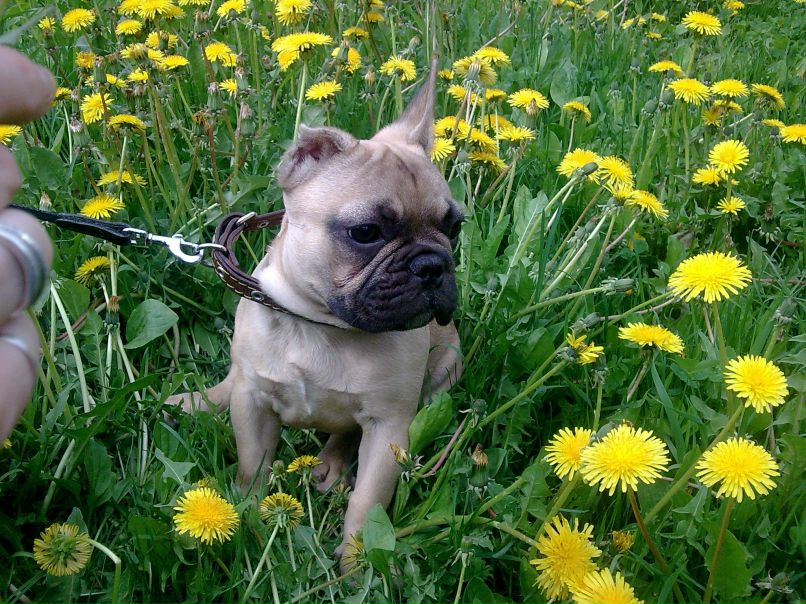 Яна Матиевская | Могилёв