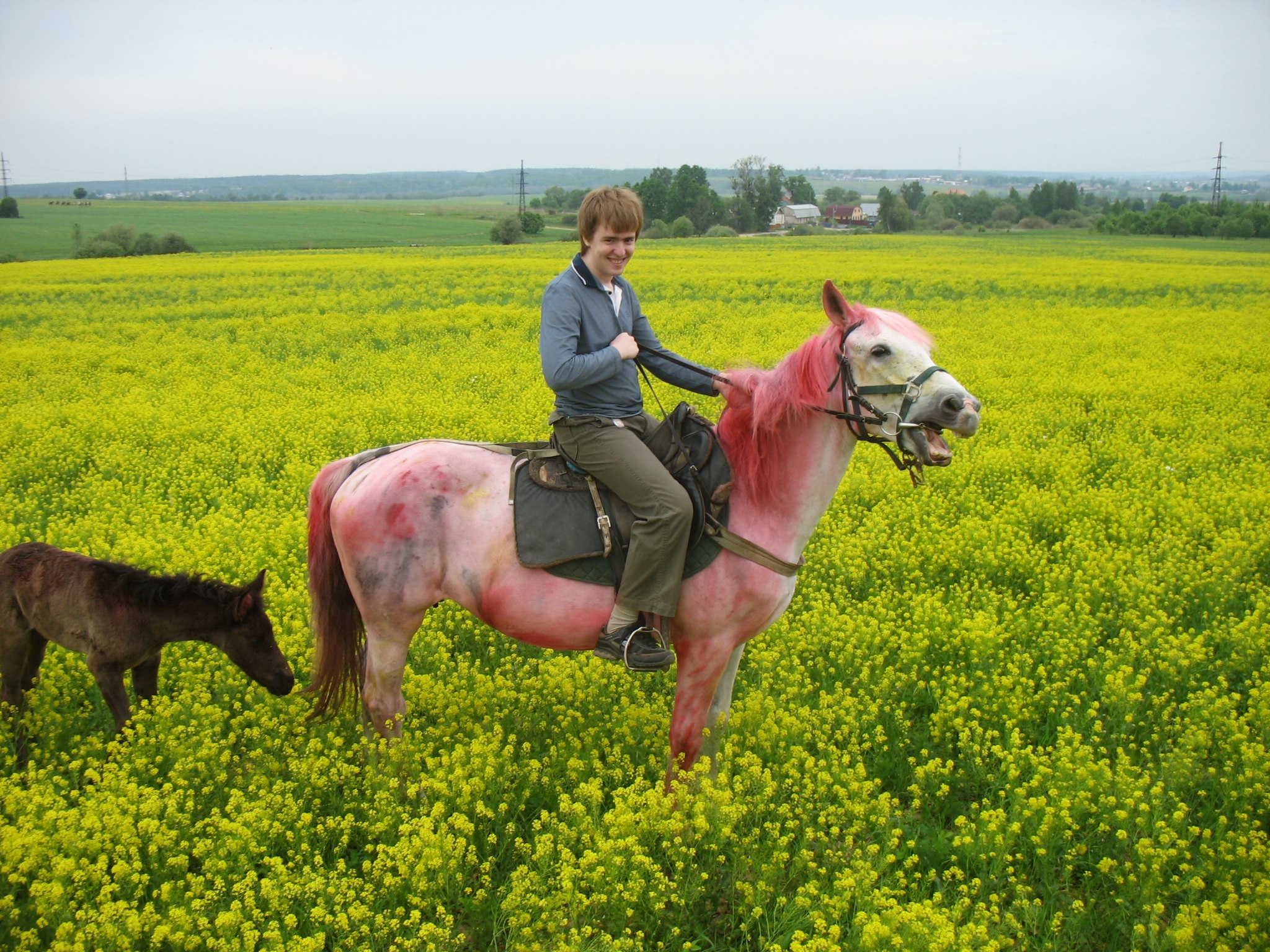 Фото профиля