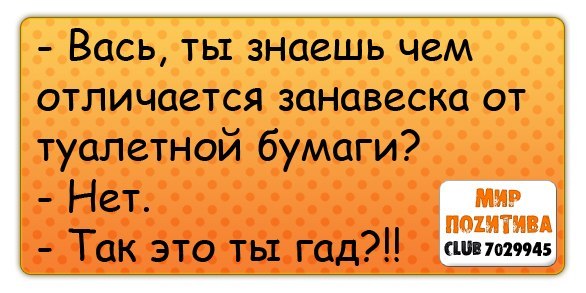 Дима Старовойтов | 