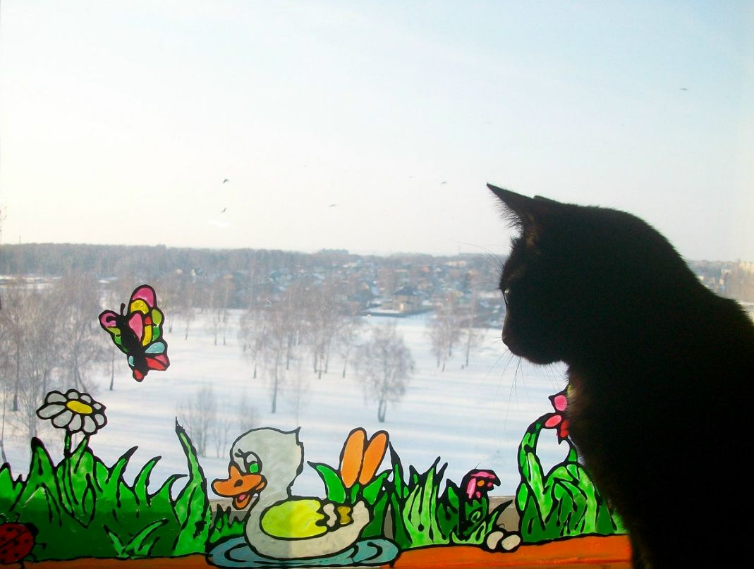 Светлана Лысенко | Ковров