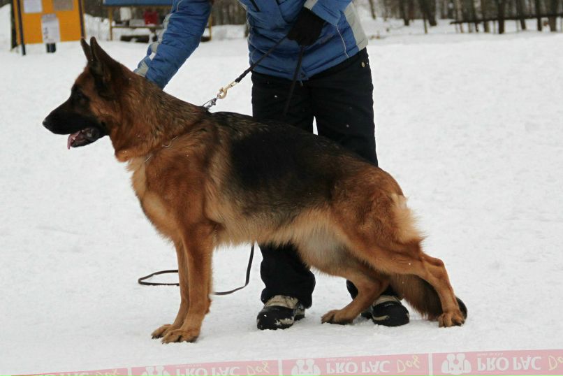 Вика Петлина | Москва