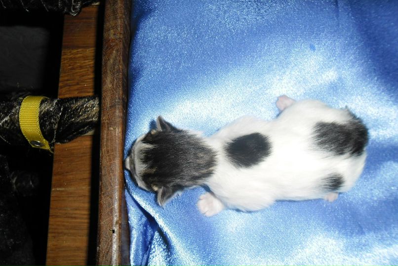 Зоя Мелкуева | Олонец