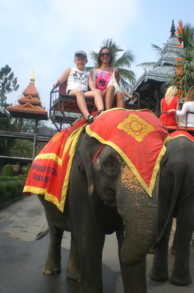 Елена Жукарева | Харьков