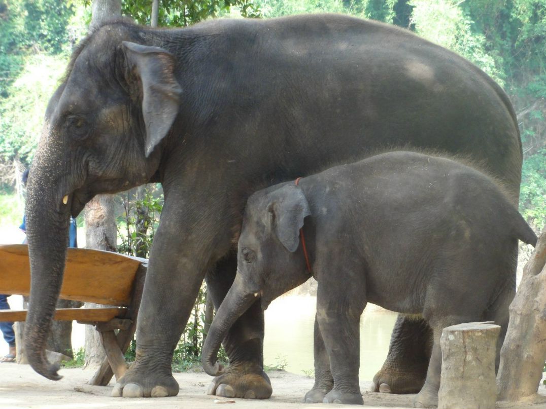 Виталий Корытников | Иркутск