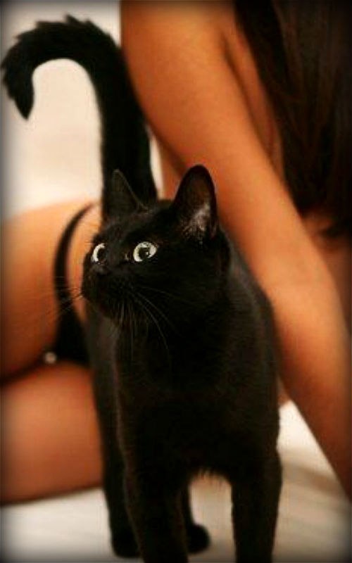 Людмила Сердюк | 