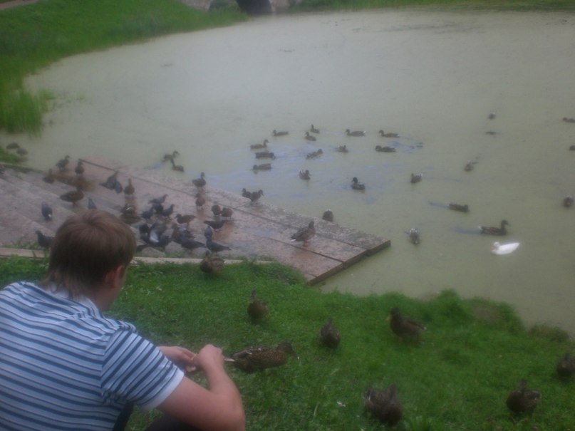 Илья Вдовенко | Пермь