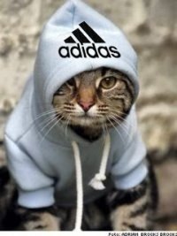 Sergey N | Маркс