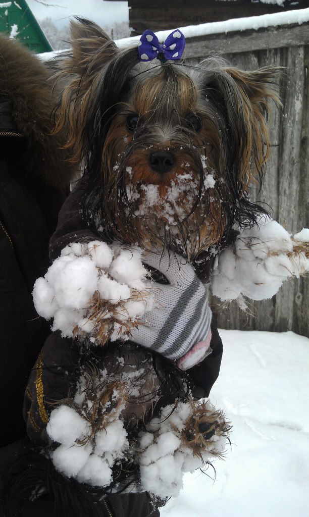 Элеонора Якимук | Москва