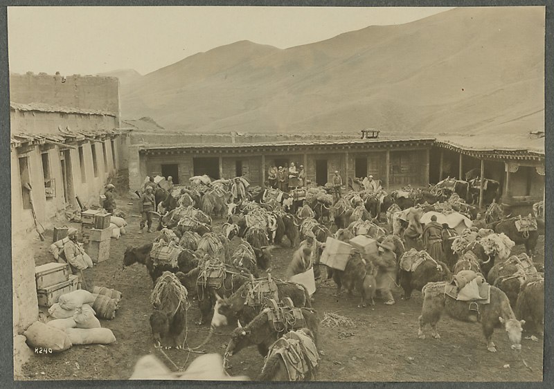 Анна Ярмош | Москва