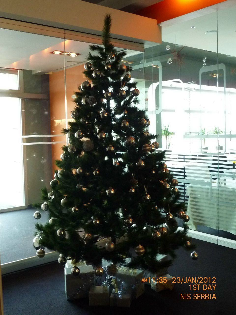 Марина Сойфер | Modi'in-Maccabim-Re'ut