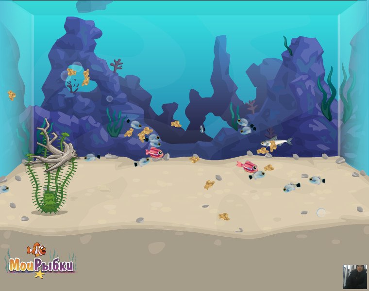 Саша Васильев | 