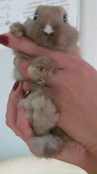 №26, Ксенечка Гладкова, Челябинск №26, Ксенечка Гладкова, Челябинск