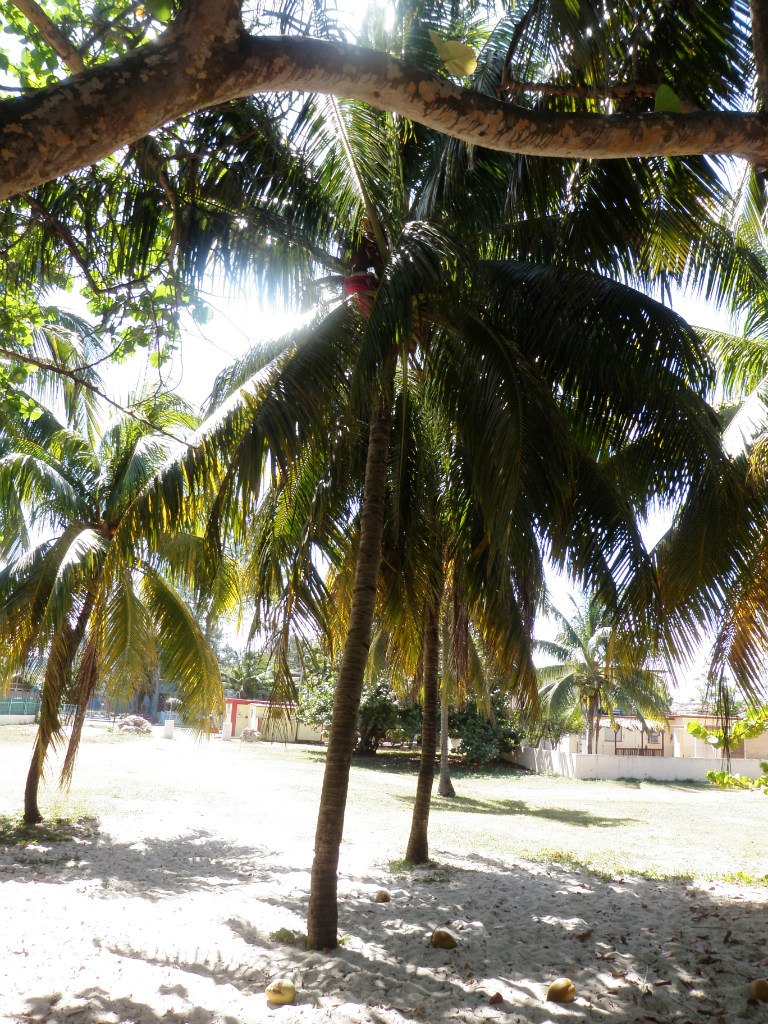 Наталия Большакова-Михайлова | Санкт-Петербург