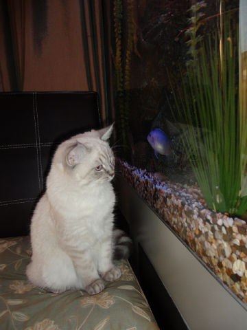 Татьяна Шилович | Минск