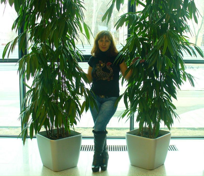 Ольга Яблочкова | 