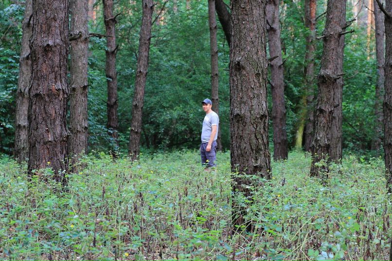 Dmitriy Panchenko | Днепр (Днепропетровск)