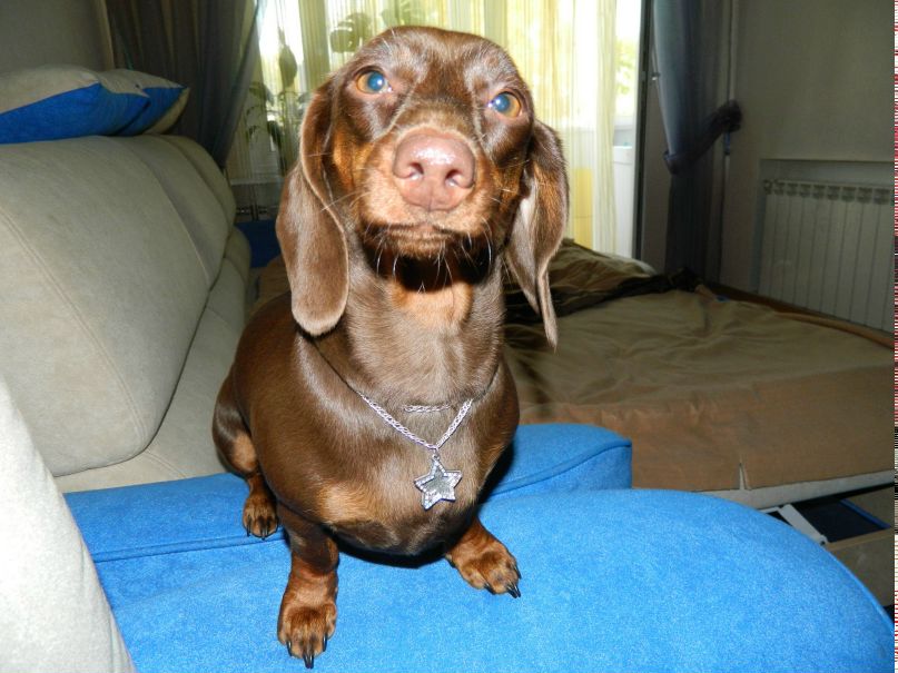 Anton Braun | Новодвинск