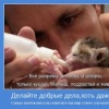 Аватар: Марьян Магомедова