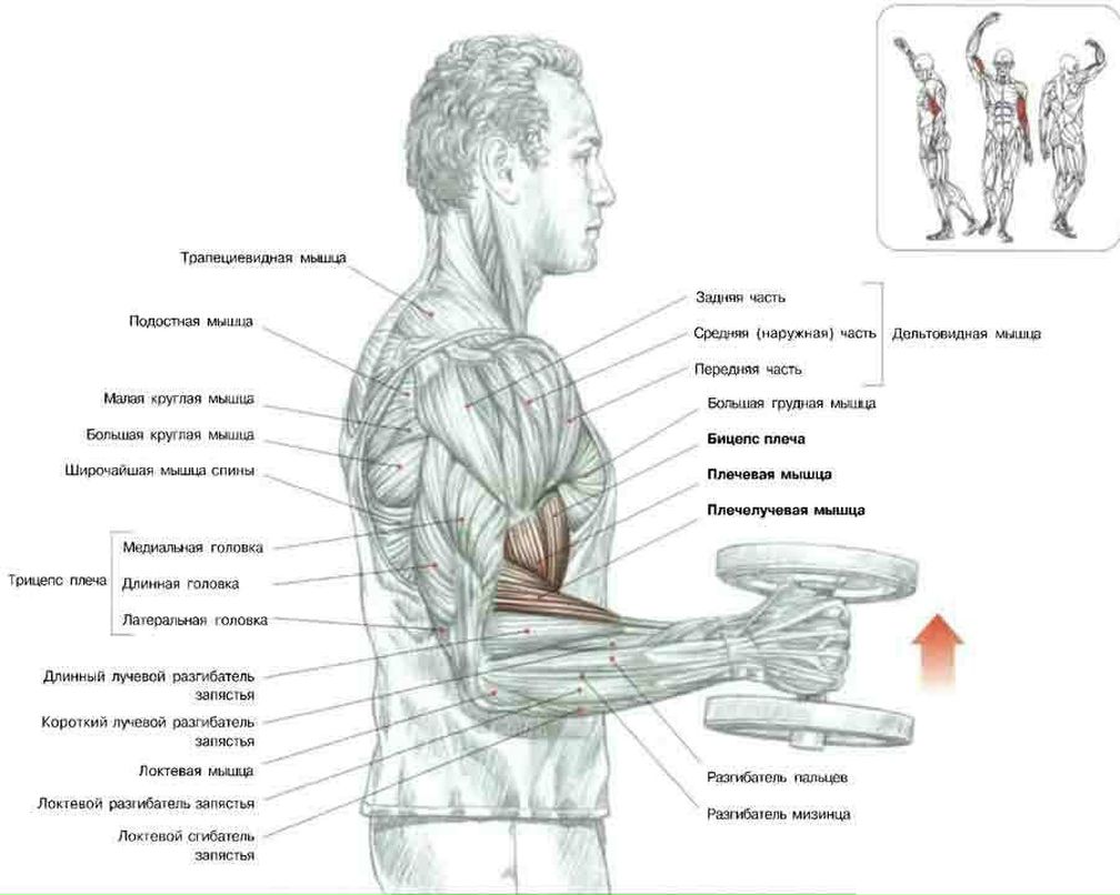 Иван Юркевичус | 