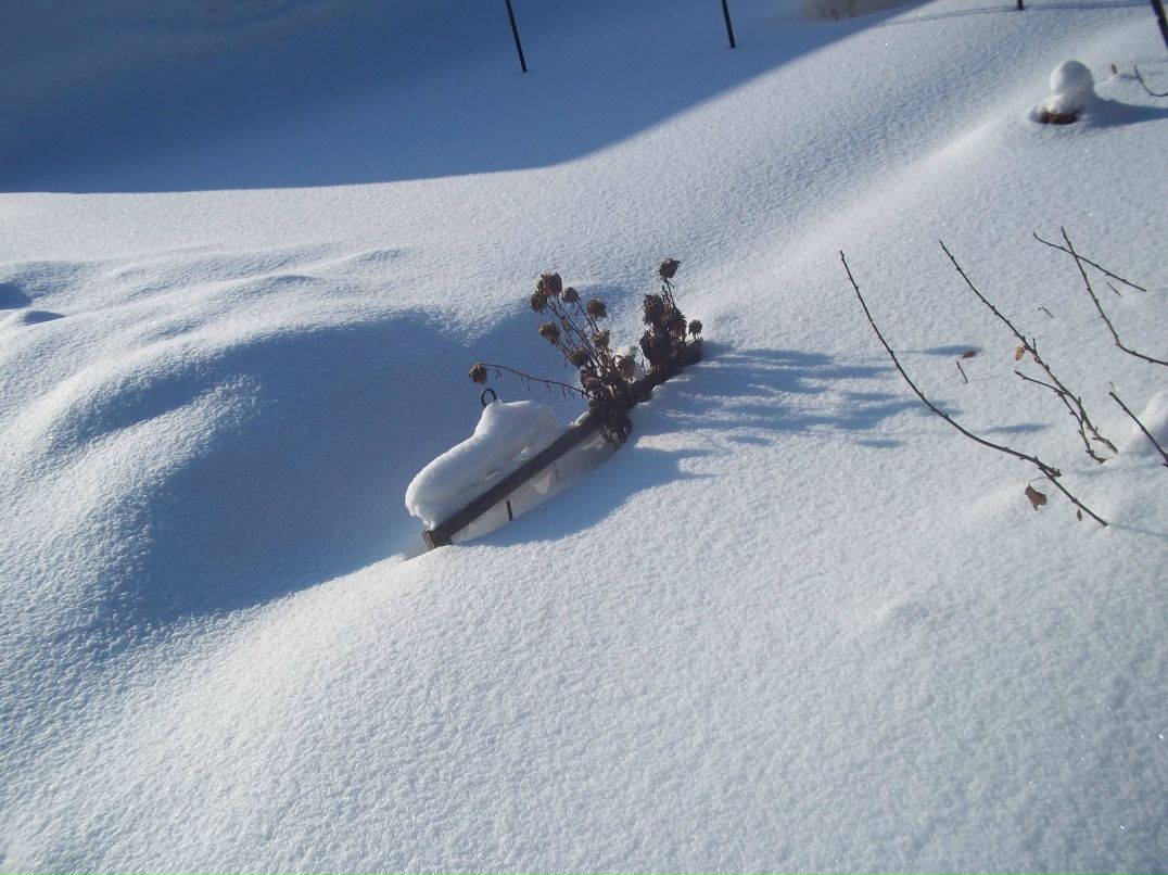 Лена Лобасова | Санкт-Петербург