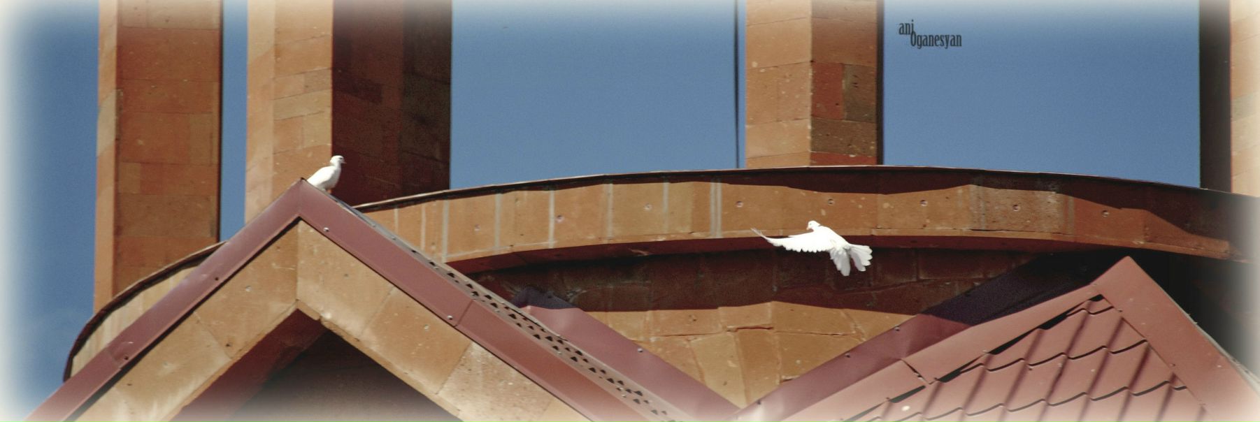 №142, Ани Ан, 26.7, Екатеринбург №142, Ани Ан, 26.7, Екатеринбург