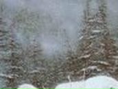 Дмитрий Качан | Луганск