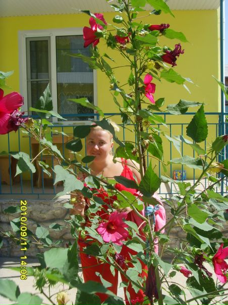 №25, Варвара Боровик, 43 года, Днепр (Днепропетровск) №25, Варвара Боровик, 43 года, Днепр (Днепропетровск)