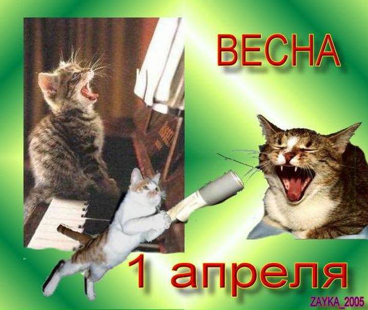 №45, Юлька Пецевич, 34 года, Мосты №45, Юлька Пецевич, 34 года, Мосты