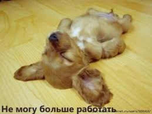 №63, Елена Шмулевич, Иерусалим №63, Елена Шмулевич, Иерусалим