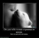 Фотография Алана Бестаева