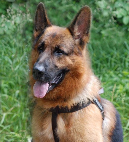 Игорь Конон алексеевич | 