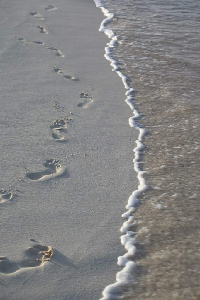 Антонина Благодатская | Москва