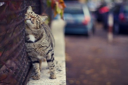 Юля Котт | Москва