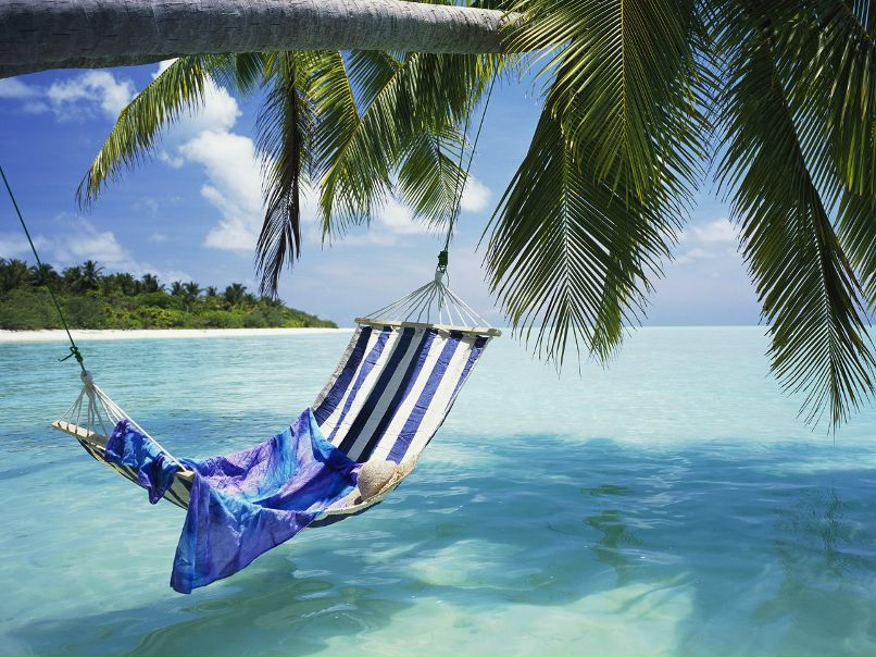 Кристина Метель | 