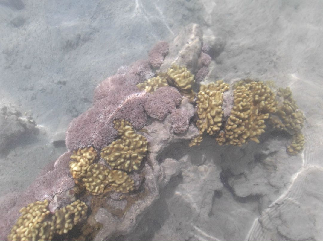 Ксения Абдуллина(Гнездина) | Уфа