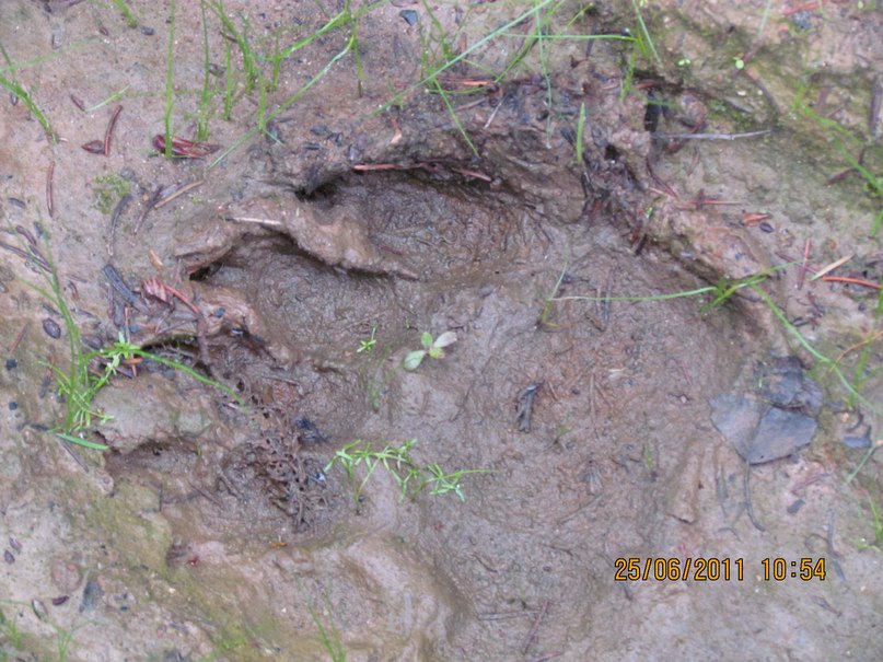 Ольга Маркелова | Санкт-Петербург