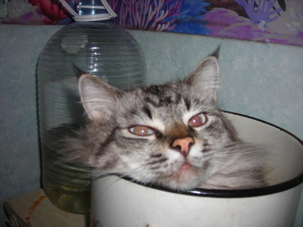 №143, Надежда Григорьева, 14.06.1954, Всеволожск №143, Надежда Григорьева, 14.06.1954, Всеволожск