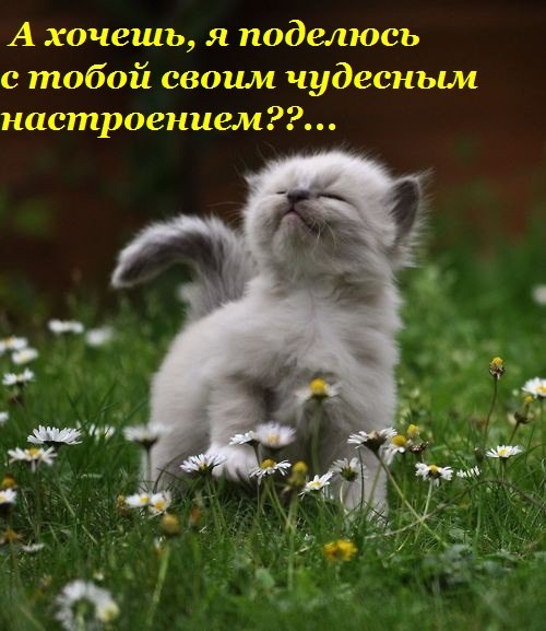 Елена Гусева | Казань