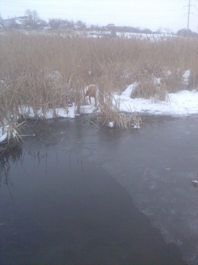Слава Манжос | Харьков