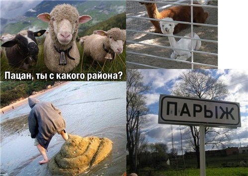 Булат Шайхутдинов фото профиля #5