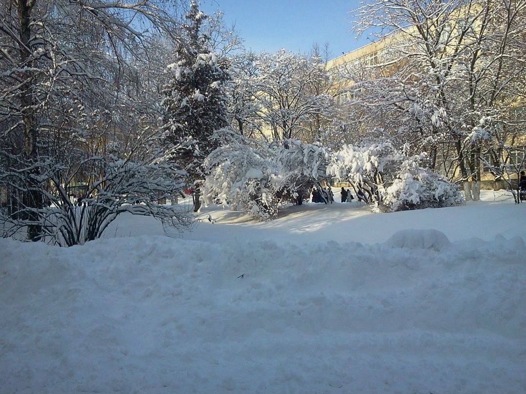 Олександр Фурс Володимирович | Киев