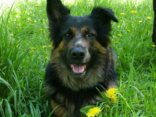 Сергей Заиц фото профиля #2