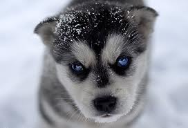 Вася Яременко Александрович | Киев