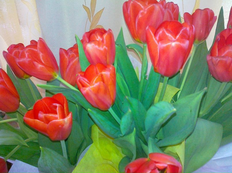 Екатерина Медведева | Киров